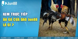 Xem trực tiếp đá gà cựa dao Jun88 là gì?