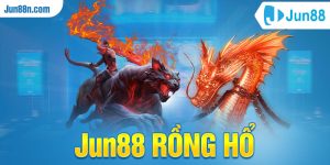 Jun88 Rồng Hổ